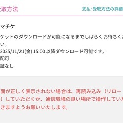 11/24(月・祝)ブランデー戦記 BRANDY SENKI TOUR 2025 大阪　チケット 2枚 の画像