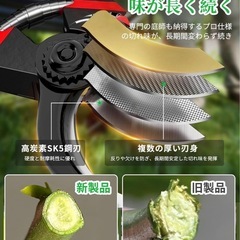 剪定バサミの画像