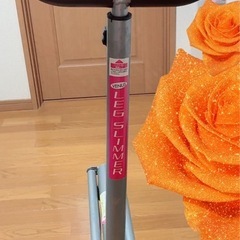 【無料】LEG SLIMMER エクササイズマシン
の画像