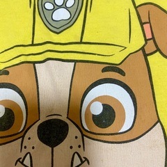 パウパトロール　半袖Tシャツ　100-110の画像