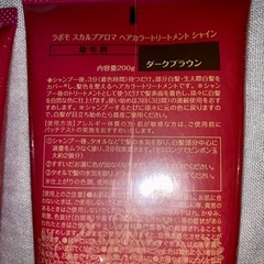 【未開封】アートネイチャー　ラボモ　ヘアーカラートリートメントの画像