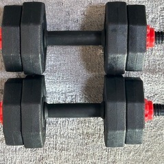 STEADY 懸垂マシン&懸垂アシストチューブ&ダンベル5kg2個の画像