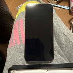 iPhone13プロ256GPの画像