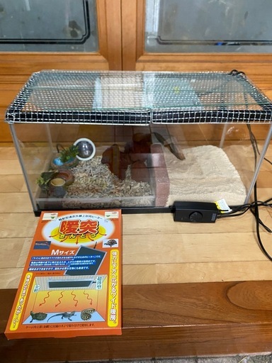 水槽セット　週末格安処分！