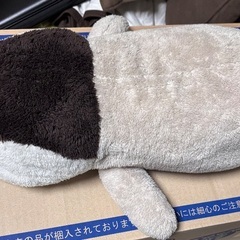 ペンギン ぬいぐるみ  うとうとペンギンの画像