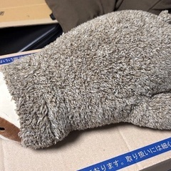 ナマケモノ ぬいぐるみ ノンノンの画像