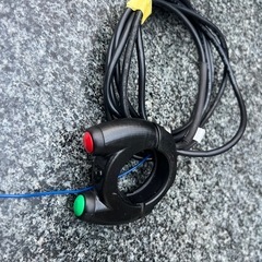 ハーレー 電動 補助輪 トライジャ　の画像