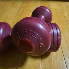 ダンベル　フィットネスの画像