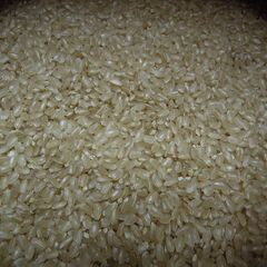 令和7年新米 ヒノヒカリ玄米　特別栽培米（農薬及び化学肥料田植え後の栽培期間中不使用） 　30kg入の画像