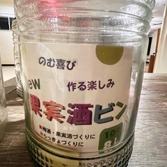果実酒瓶  10号3個セットの画像