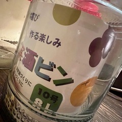 果実酒瓶  10号3個セットの画像