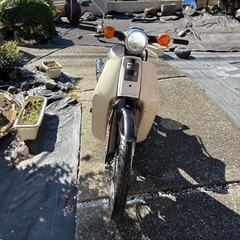 カブ　12v  鉄カブ　の画像