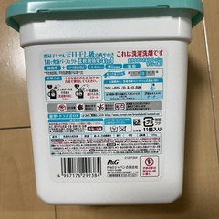 ボールド②の画像