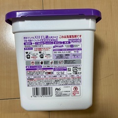 ボールド②の画像