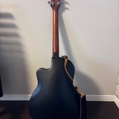 Cadenza エレアコギター
の画像