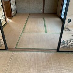 畳　中古　17枚一式（まとめて引き取り可能な方のみ）の画像