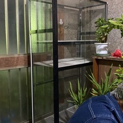 アルインコ　ガラス温室ケースの画像