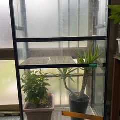 アルインコ　ガラス温室ケースの画像