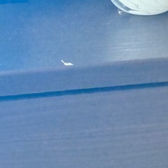 【NITORI】 TV台 ブラウン H34.5×D43.5×W174  TK4012の画像