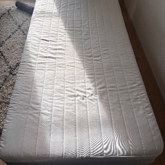 11/24〜28に引き取りに来てくれる方の画像