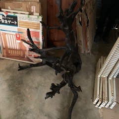 流木　オブジェの画像
