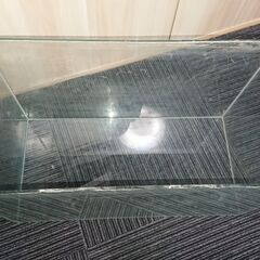 60㎝　ガラス水槽の画像