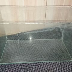 60㎝　ガラス水槽の画像