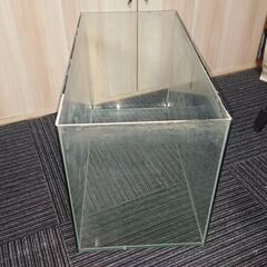 60㎝　ガラス水槽の画像