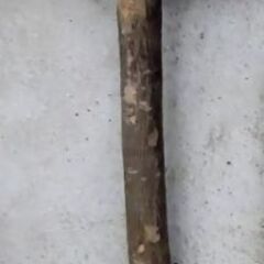 🍓 使い込まれた風合いのパイプレンチ７個 ／石頭ハンマー１個／水道工事／配管作業／1個あたり550円😄                    の画像