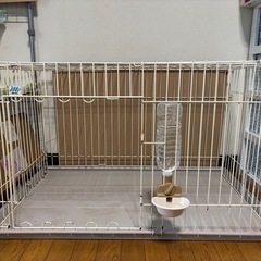 大きい犬ゲージの画像