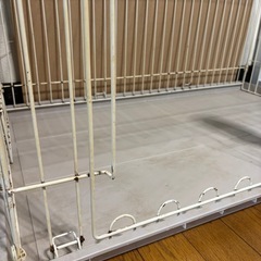 大きい犬ゲージの画像