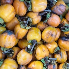 西条渋柿１０キロの画像