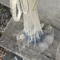 受付終了　
投網の画像