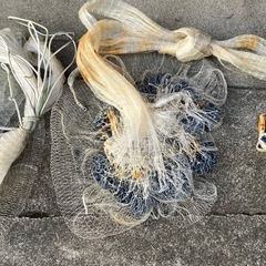 受付終了　
投網の画像