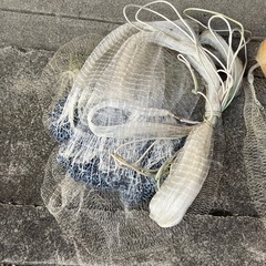 受付終了　
投網の画像