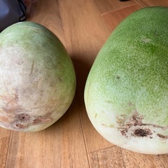 冬瓜の画像