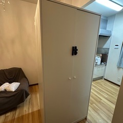 IKEA/イケア KLEPPSTAD/クレップスタード：ワードローブ 扉2枚付 ホワイトの画像