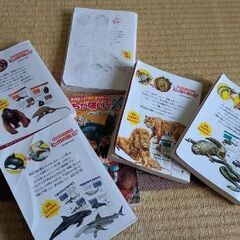 大人気どっちが強いシリーズ6冊セット！の画像