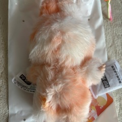 正規品　公式ポップマートで購入　ラブブの画像