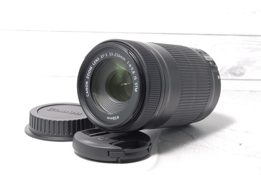 Canon EF-S 55-250mm IS STM 望遠レンズ 手ぶれ補正