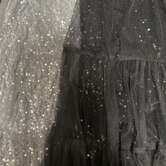 earth⭐️キラキラスカート２枚セットの画像