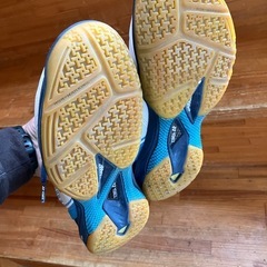 バドミントンシューズの画像