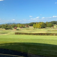 練馬区在住の方!平日ラウンド行きませんか?