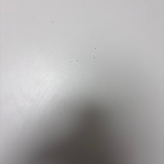 【決まりました】テーブルの画像