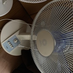 本日引き取り限定　扇風機３台まとめて
の画像