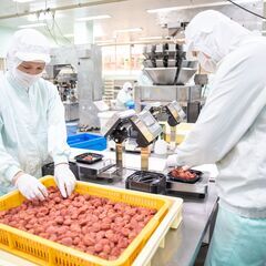 未経験OK！梅の製造スタッフとして、あたたかい職場で成長できます♪＿株式会社ウメタの画像