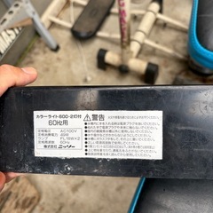 熱帯魚らいとライトの画像