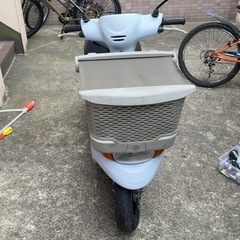 本日限定の画像