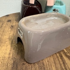 【受け渡し予定者決定】爬虫類レイアウト用:アイシェルターと流木の画像