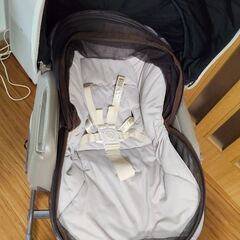 ネムリラ　オートスイング　Bedi longの画像